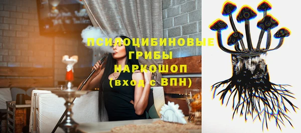PSILOCYBIN Зеленокумск