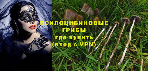 шишки Зерноград