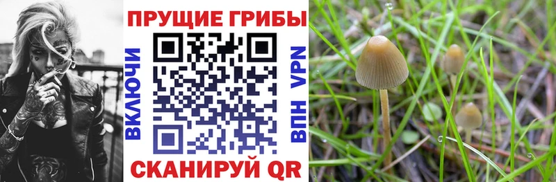 Псилоцибиновые грибы мухоморы  Купить  Лабинск 